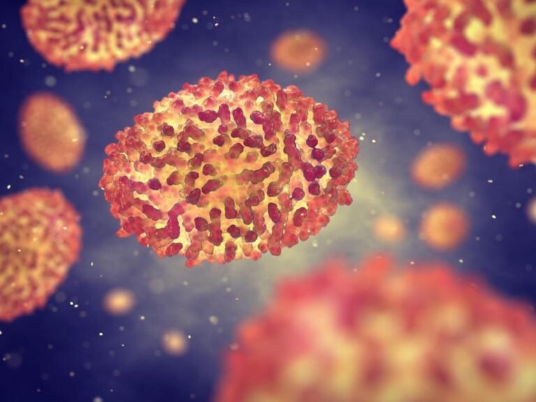 What is Monkeypox? Is Monkeypox Dangerous? – Causes and Symptoms