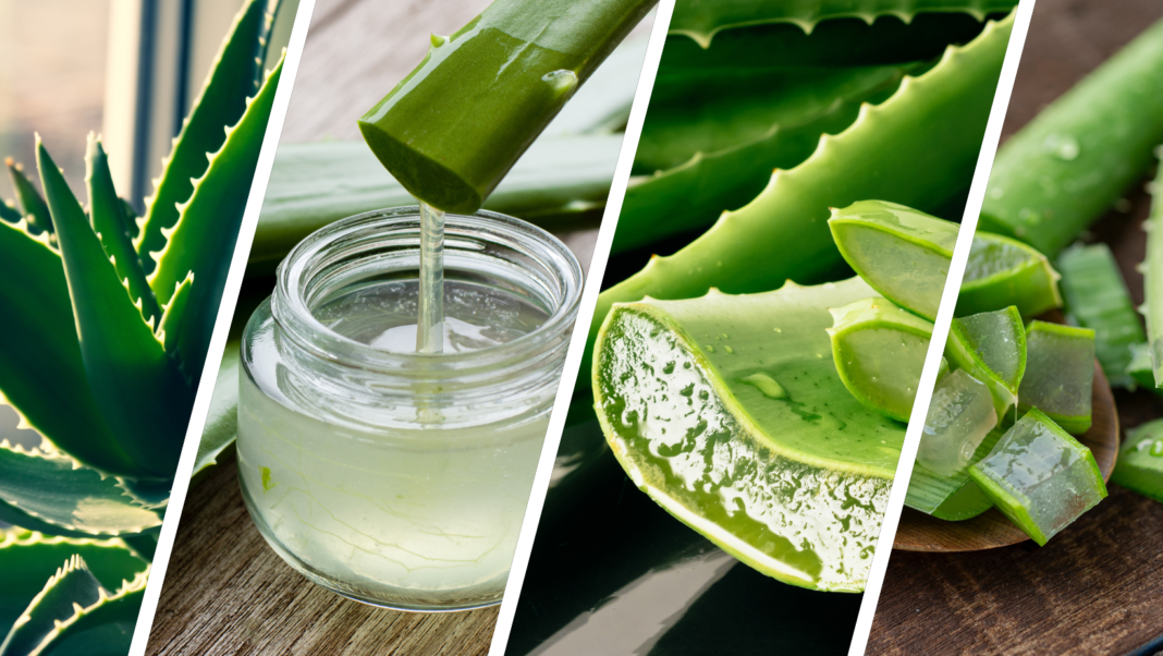 Benefits of Aloe Vera For Face