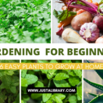 6 easy plants to grow at home : gardening for beginners - Just A Library