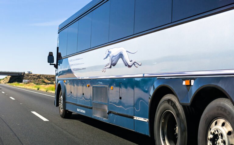 The Lasting Power of Greyhound: Unraveling the Mystique of a Timeless Brand