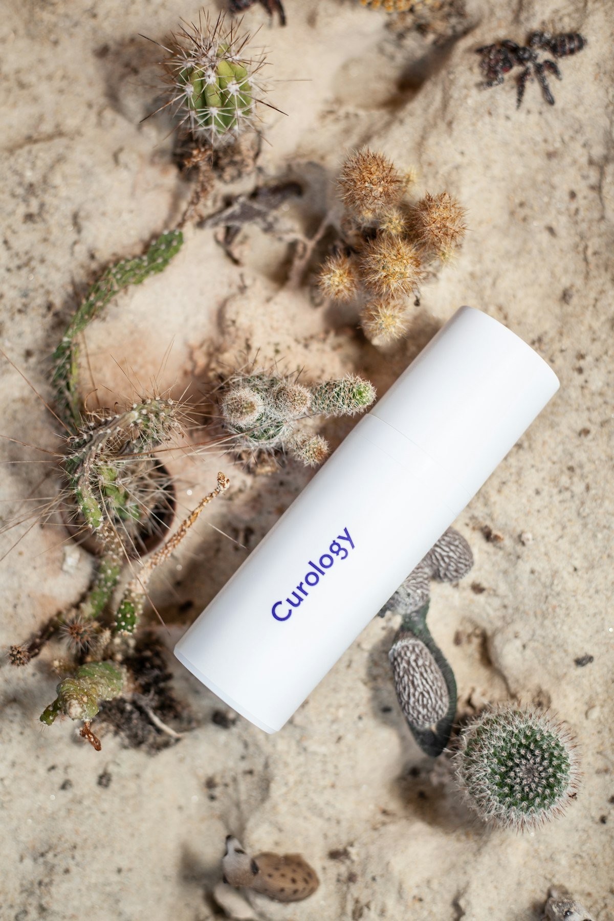 best sunscreen in India skincare products